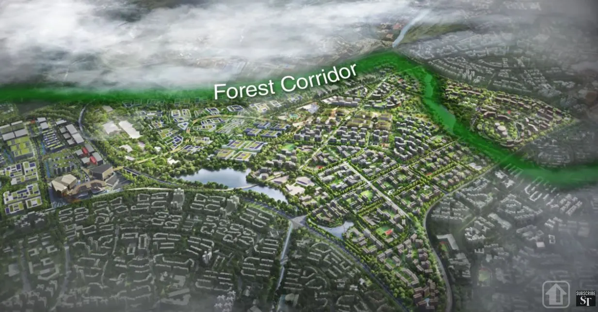 Tengah Forest Corridor